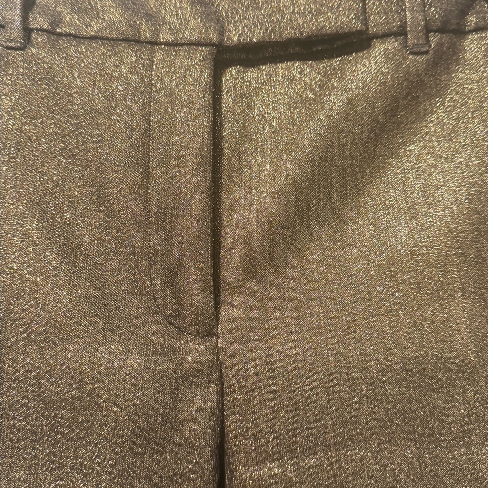 Shimmering Gold Pants